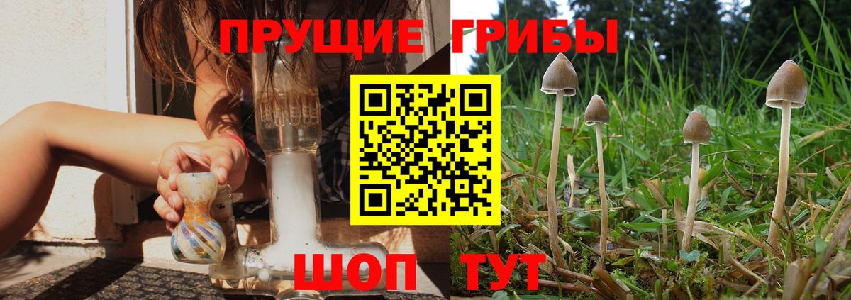 Псилоцибиновые грибы мицелий  Галлюциногенные грибы Psilocybe  Люберцы  Вход с VPN 