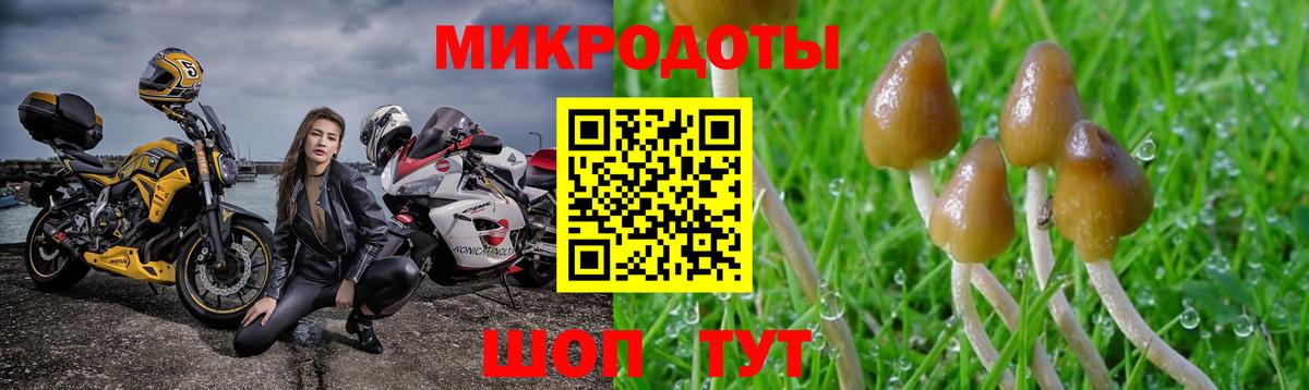 Псилоцибиновые грибы мицелий Люберцы